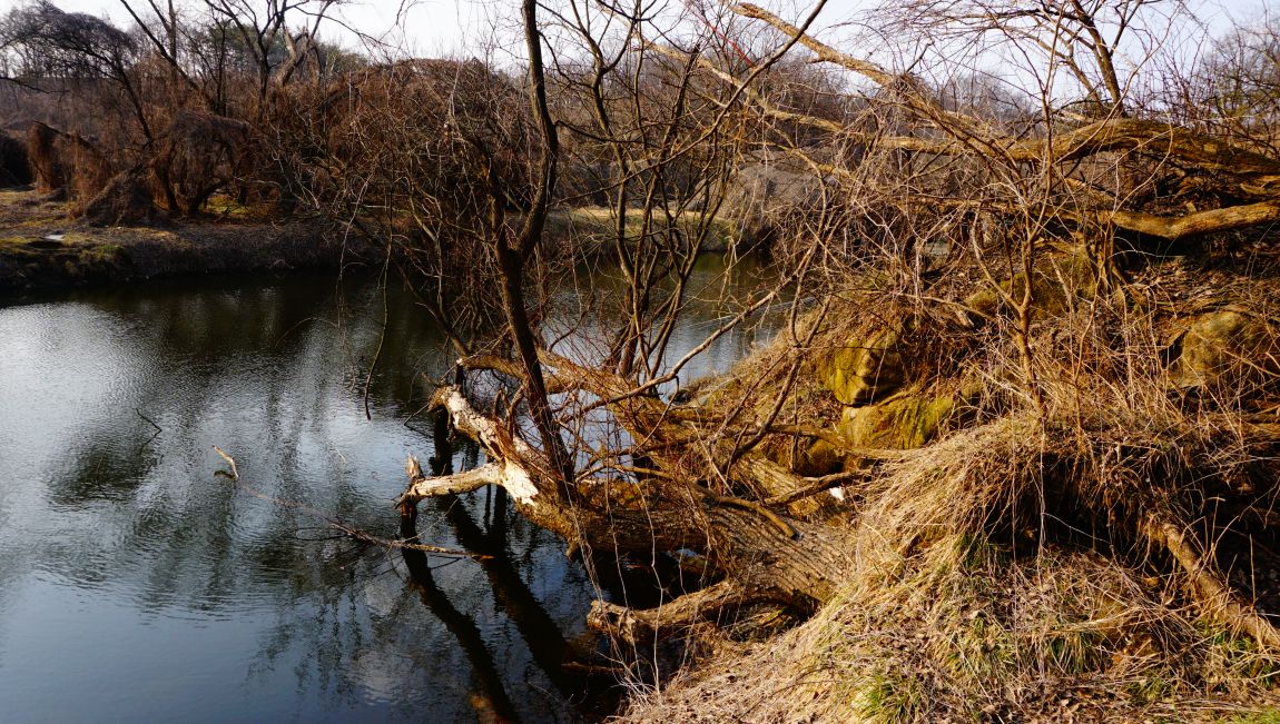 DSC01930.JPG