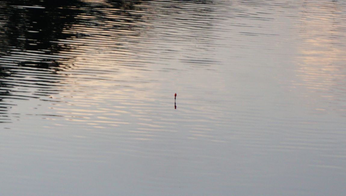 DSC02105.JPG
