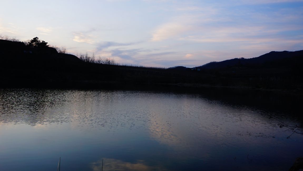 DSC02106.JPG