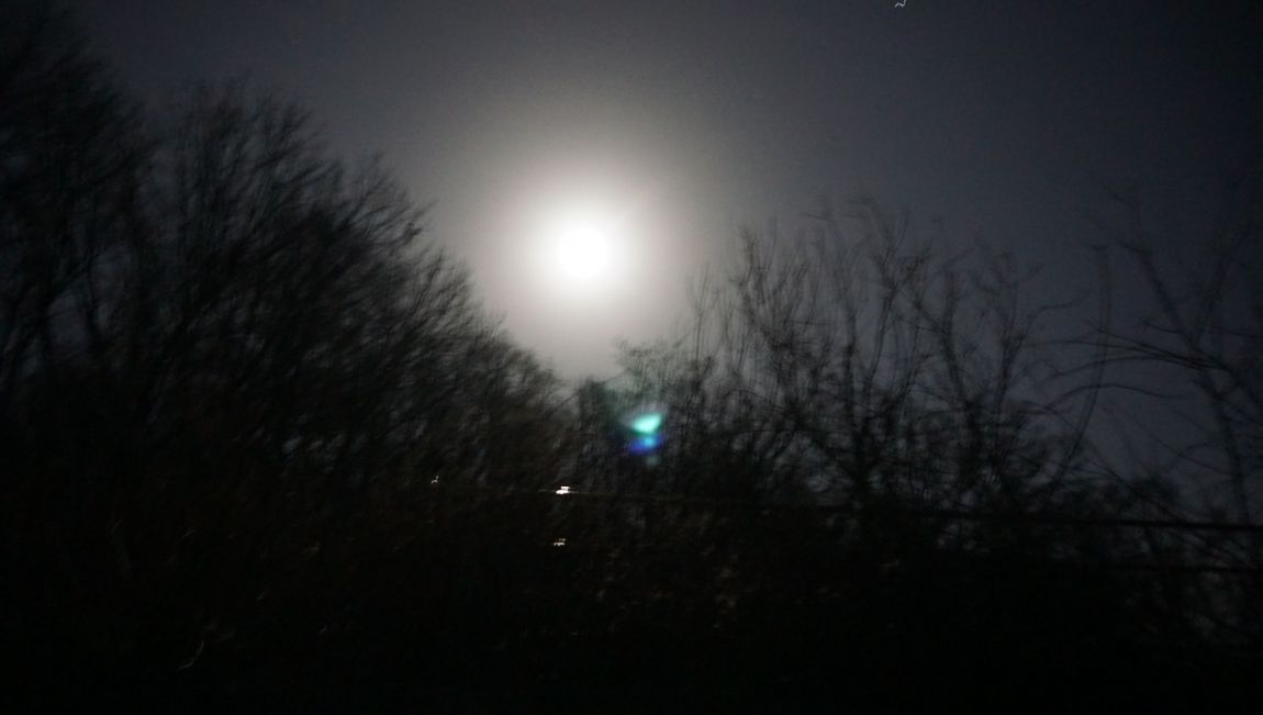 DSC02130.JPG