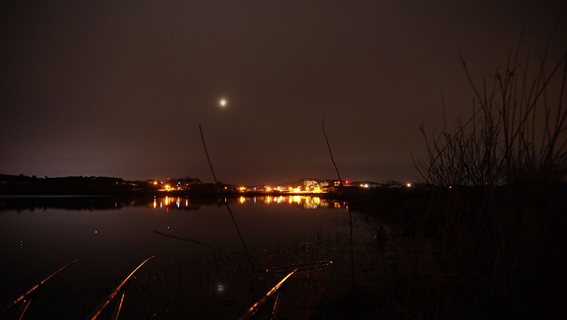 A33.jpg