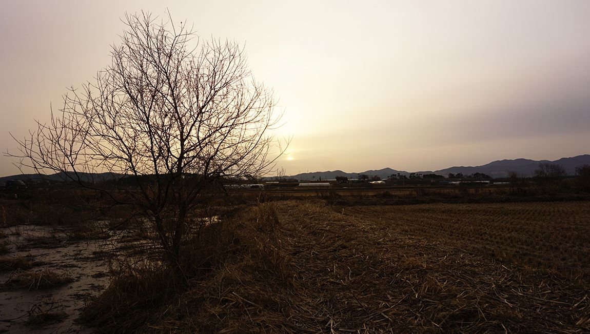 A39.jpg