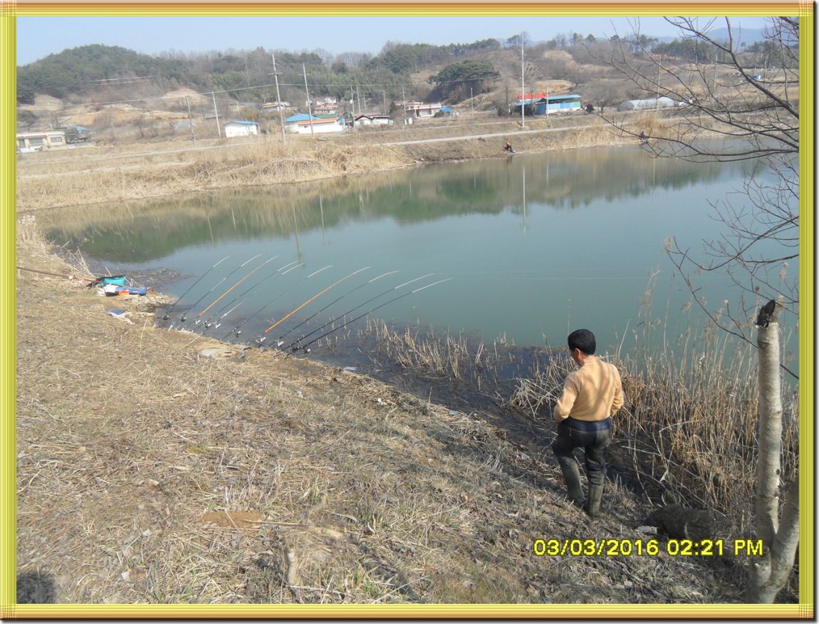 SDC19368.jpg