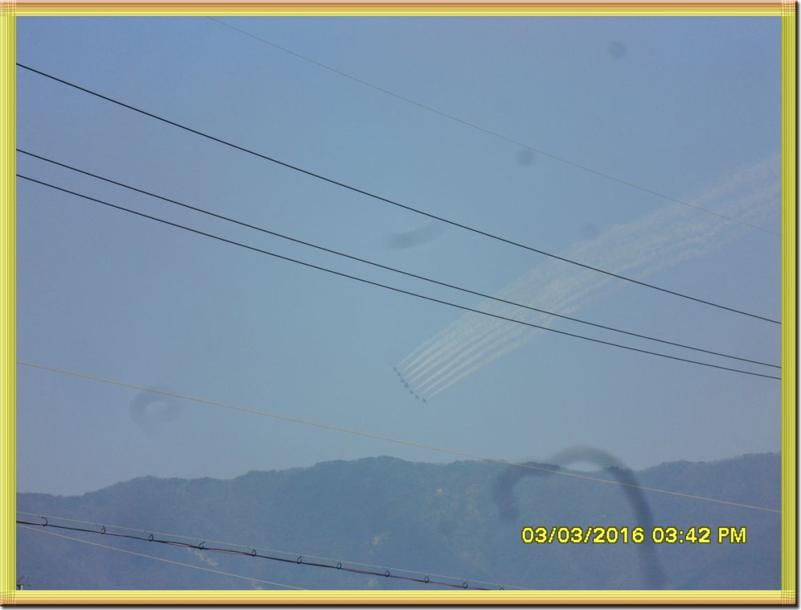 SDC19389.jpg