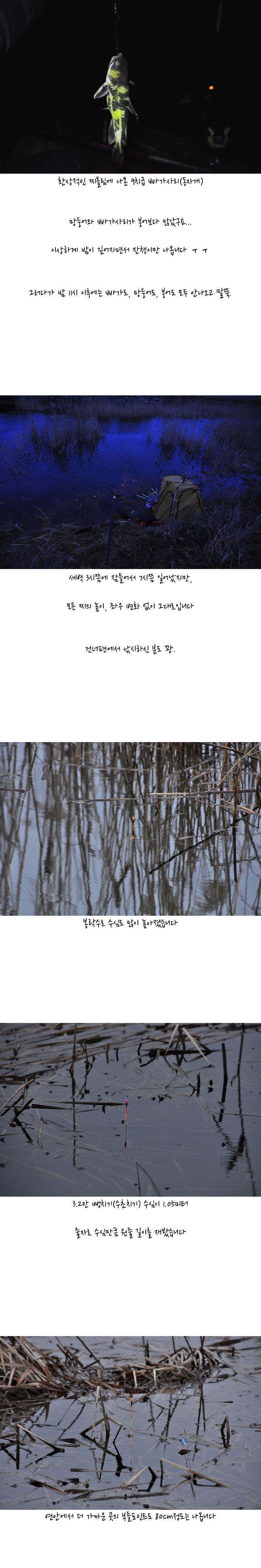 õ���� �γ�ȣ ��Ȳ - 04.jpg