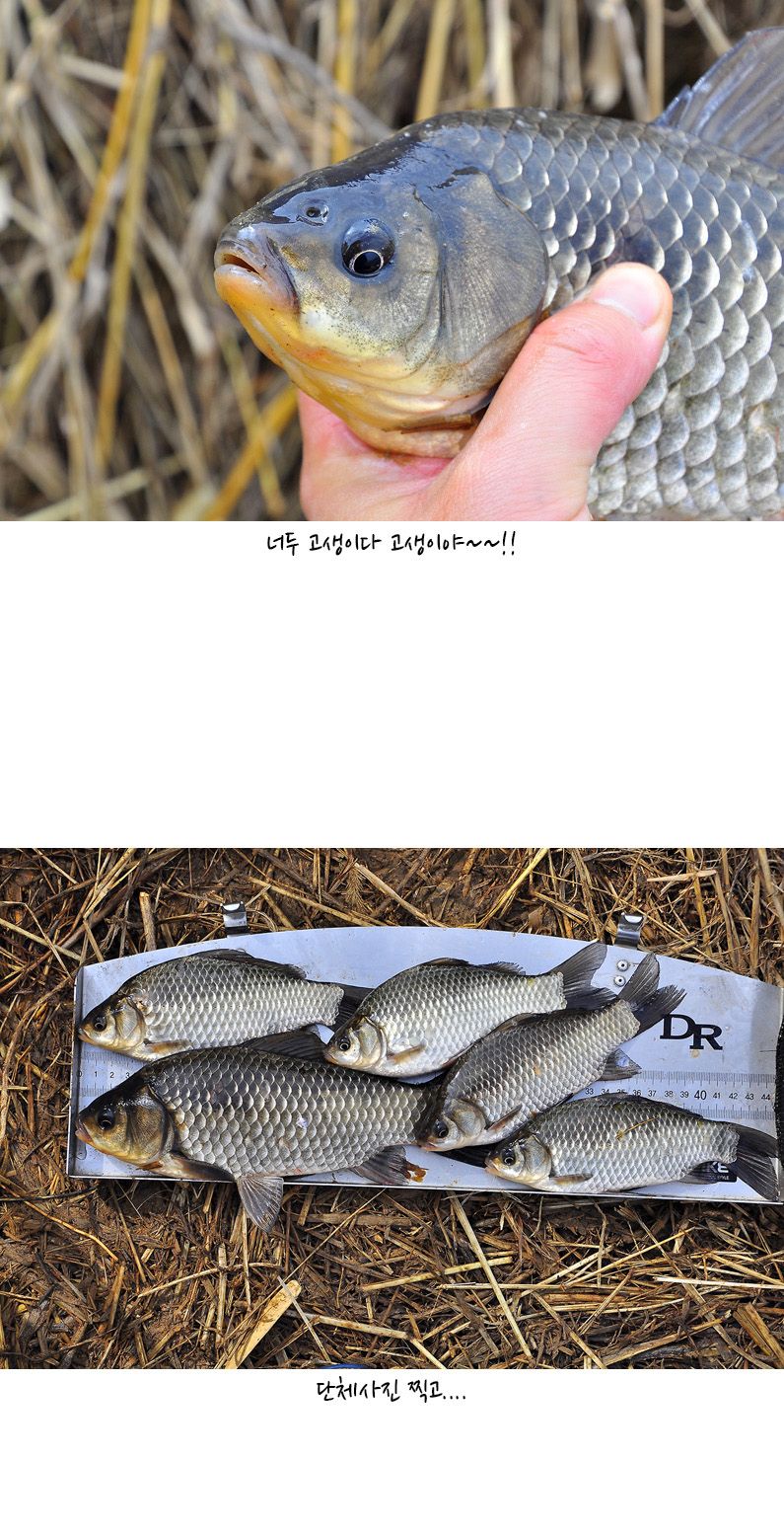 õ���� �γ�ȣ ��Ȳ - 08.jpg