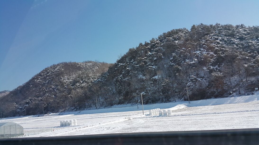 ٹ̱_20160301_105755.jpg