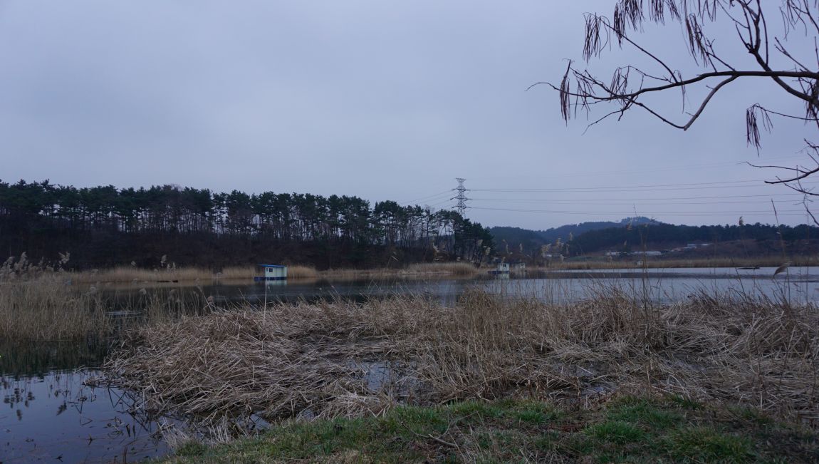 DSC02753.JPG
