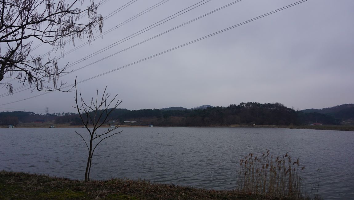 DSC02755.JPG
