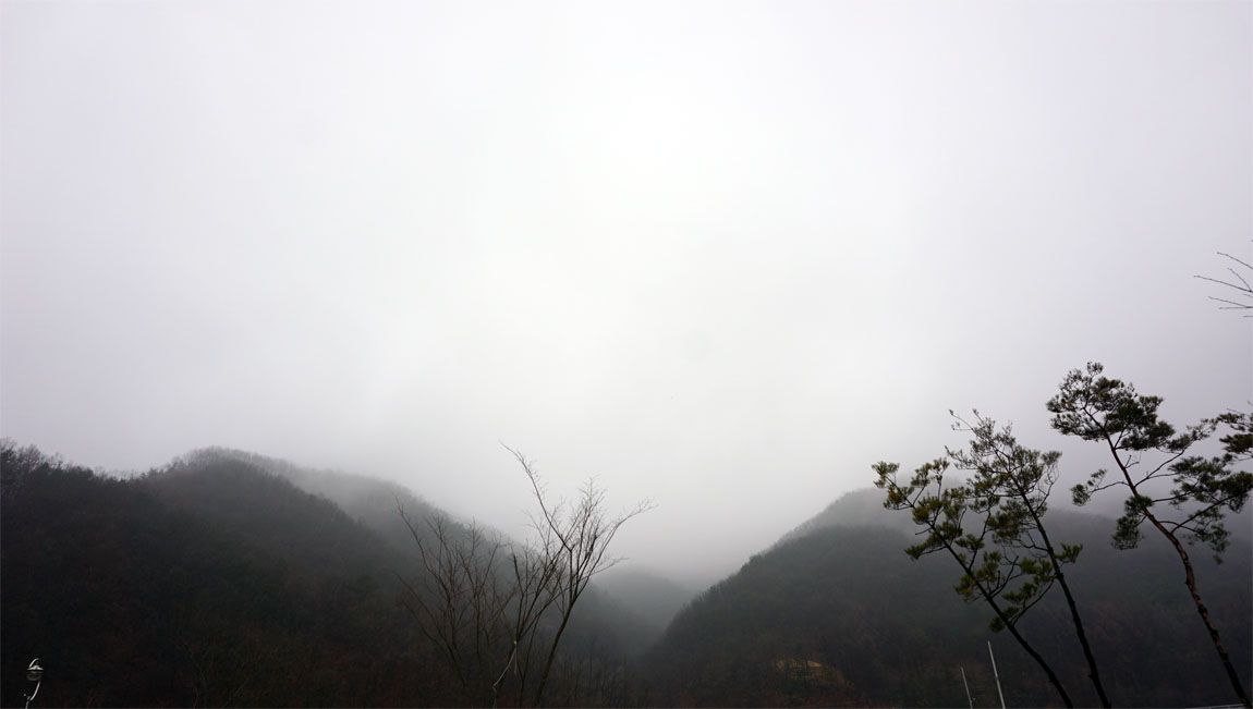 a56.jpg