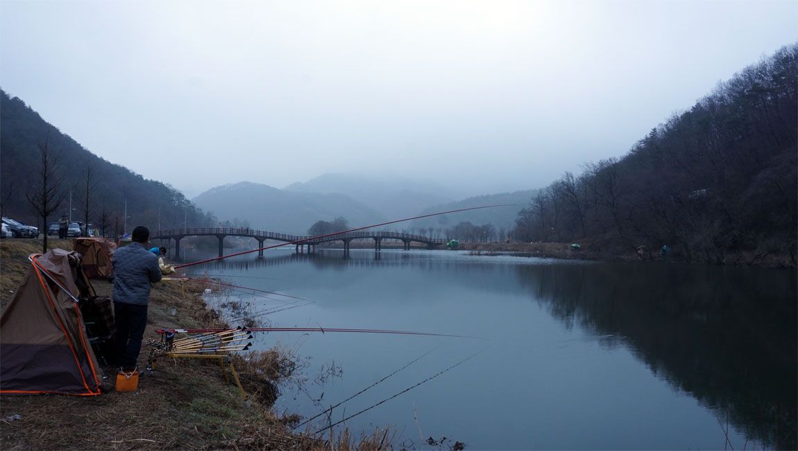 a71.jpg