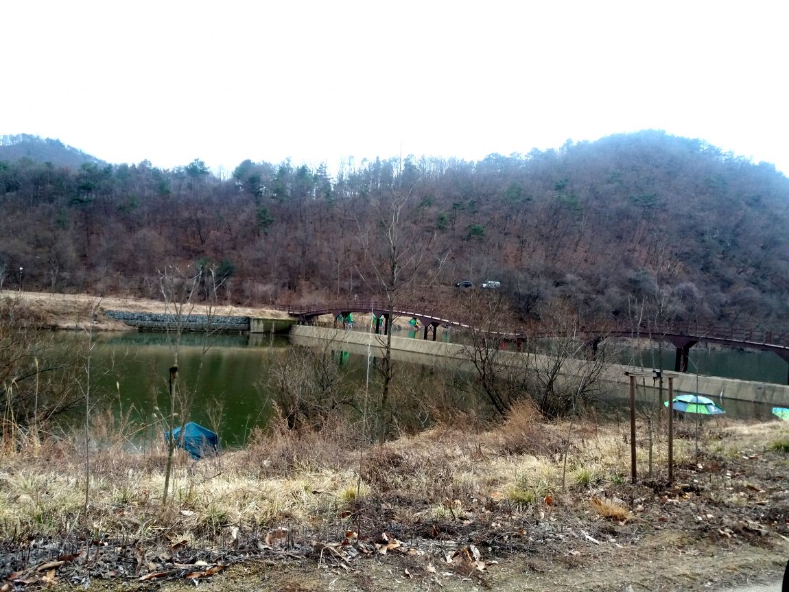 20160305_160957.jpg