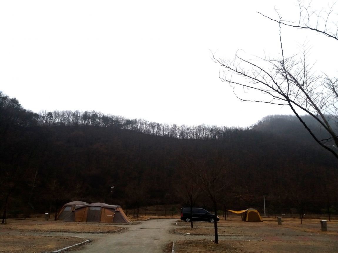 20160306_071907.jpg