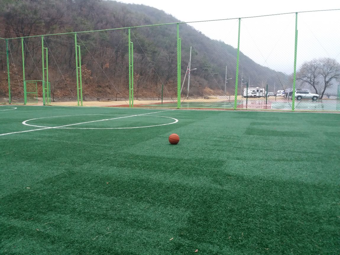 20160306_072017.jpg