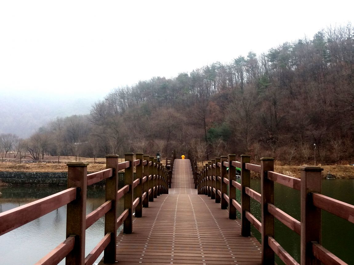 20160306_084351.jpg