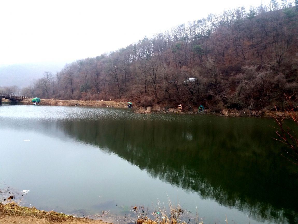 20160306_084121.jpg