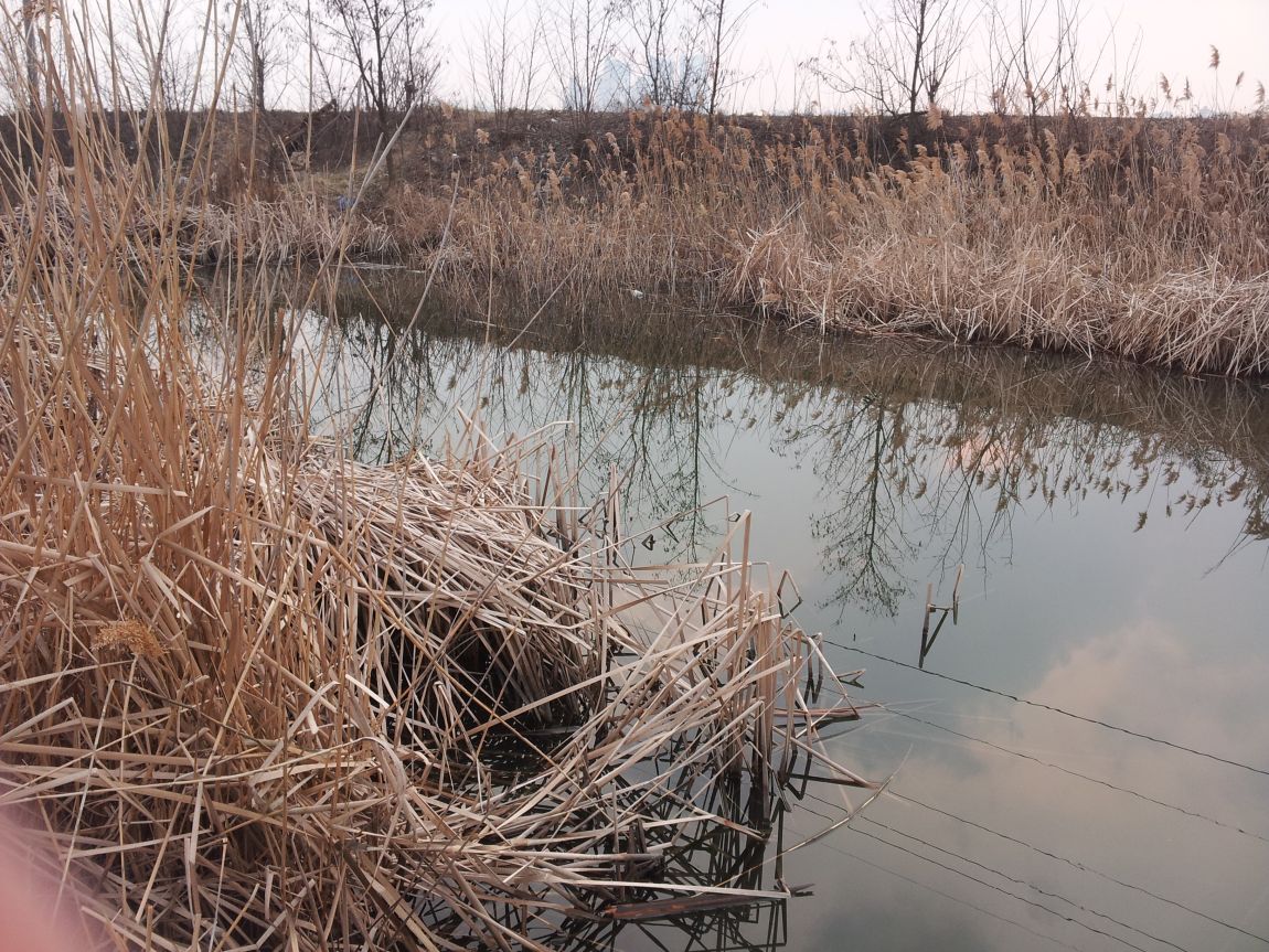 20160313_171559.jpg