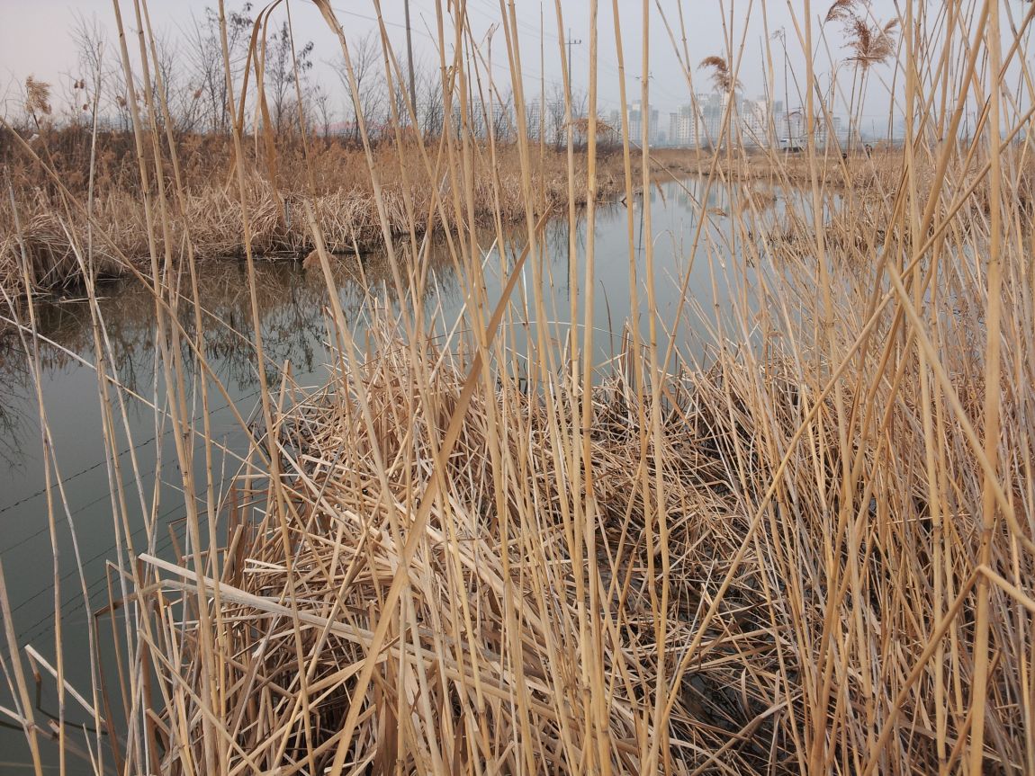 20160313_171608.jpg
