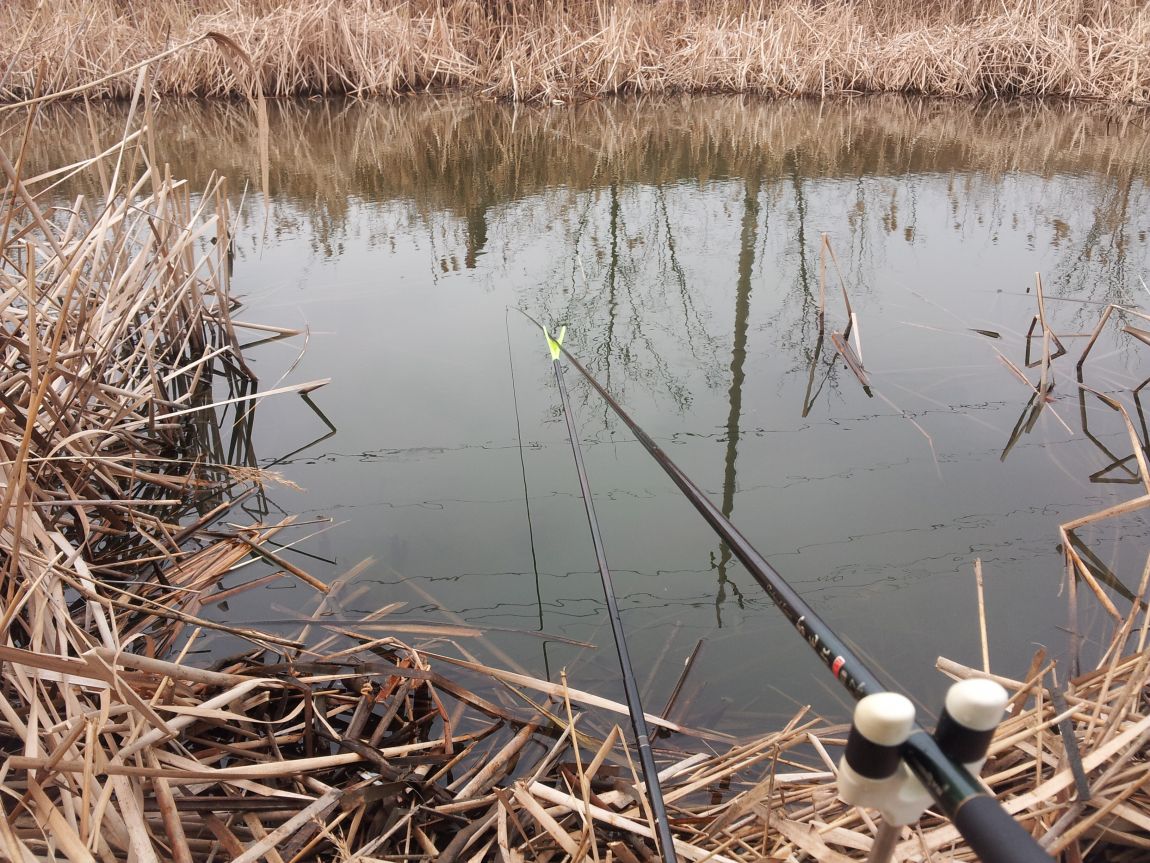 20160313_123921.jpg