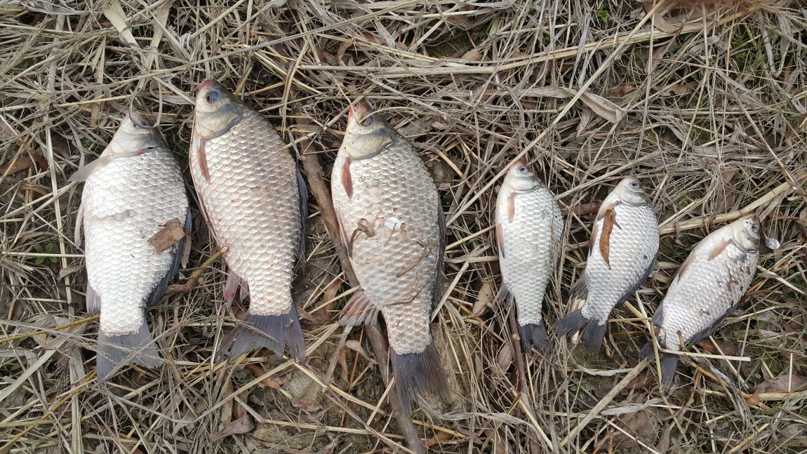 20160313_092941.jpg