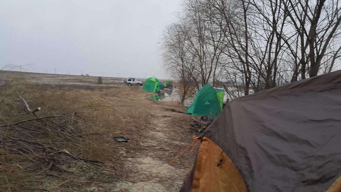 20160313_065236.jpg
