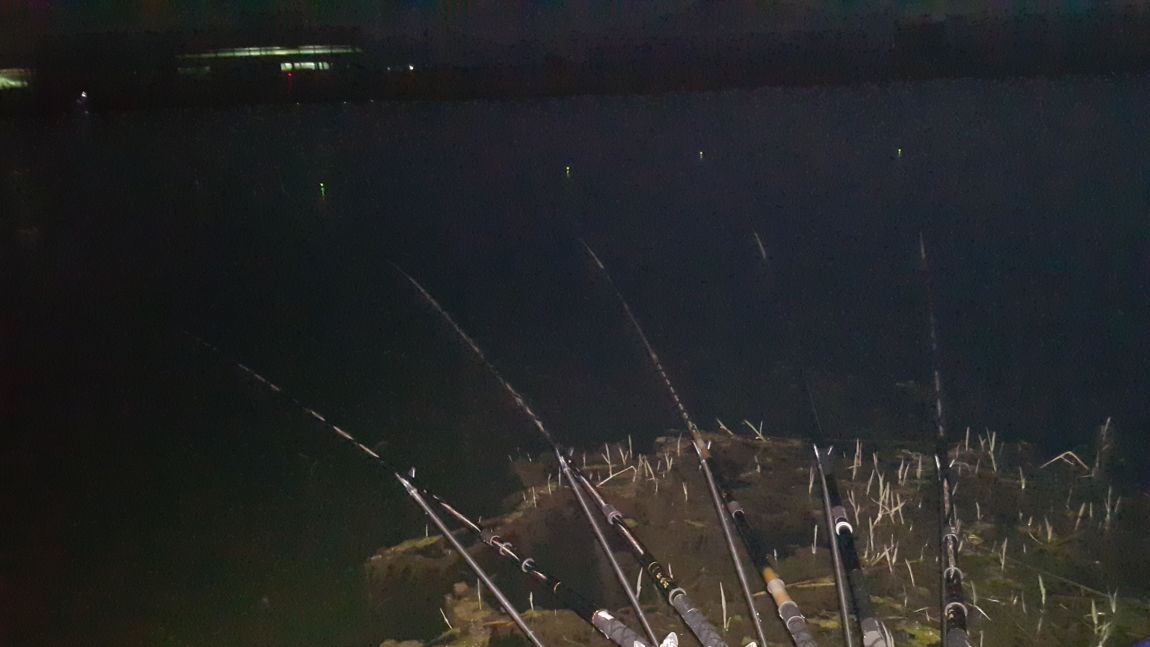 20150501_200145.jpg