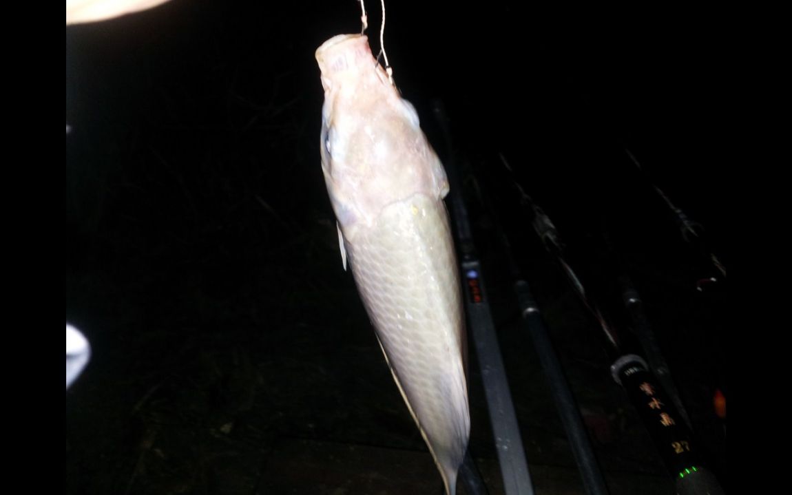 20120707_001722.JPG