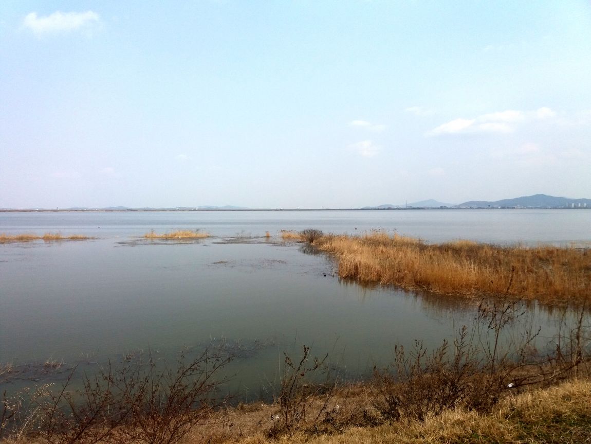 20160312_130722.jpg