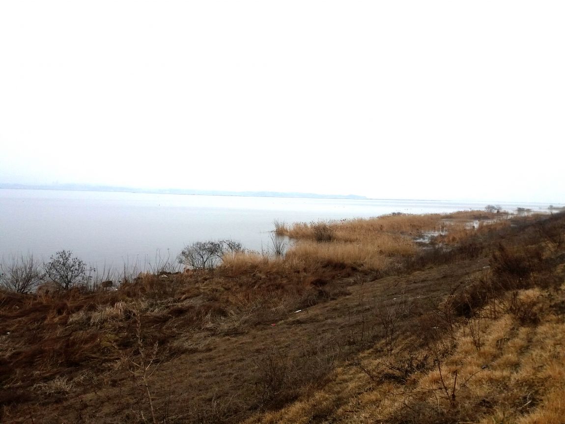 20160313_120417.jpg