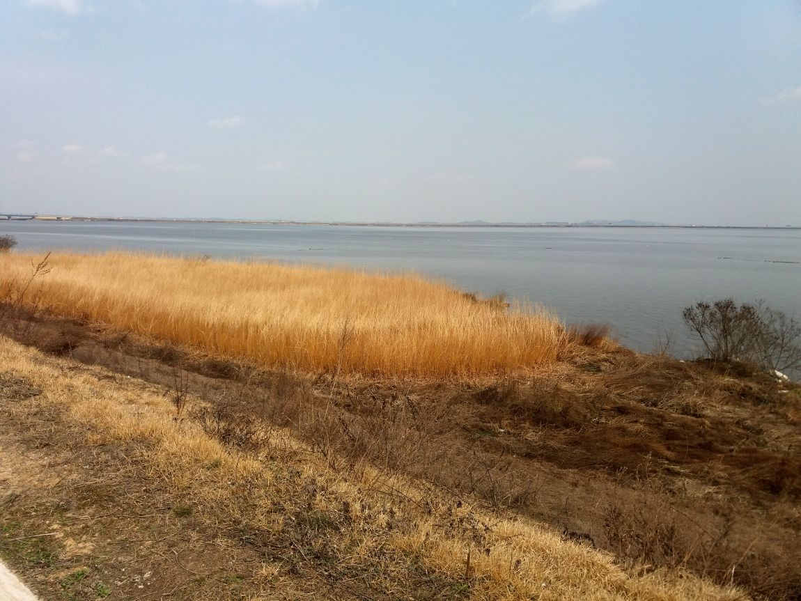 20160312_131435.jpg