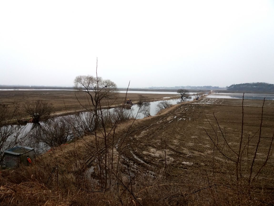 20160313_115838.jpg