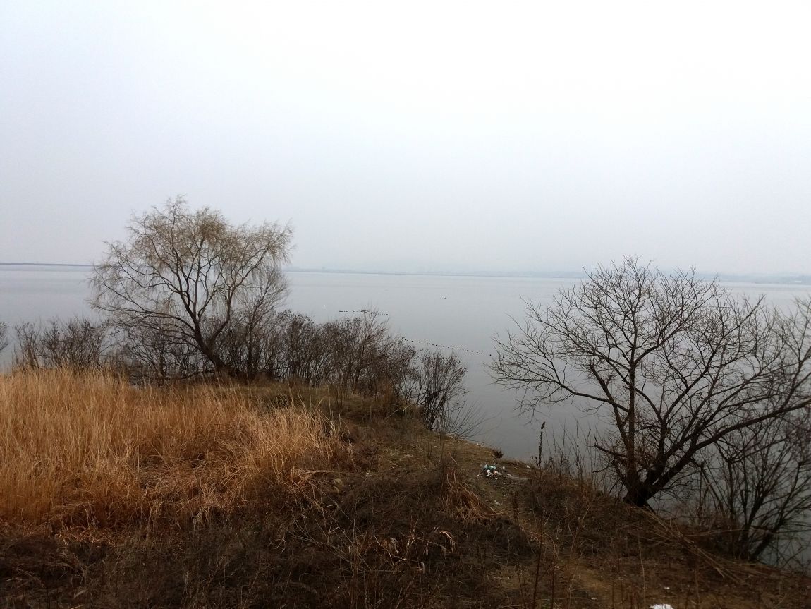 20160313_115852.jpg