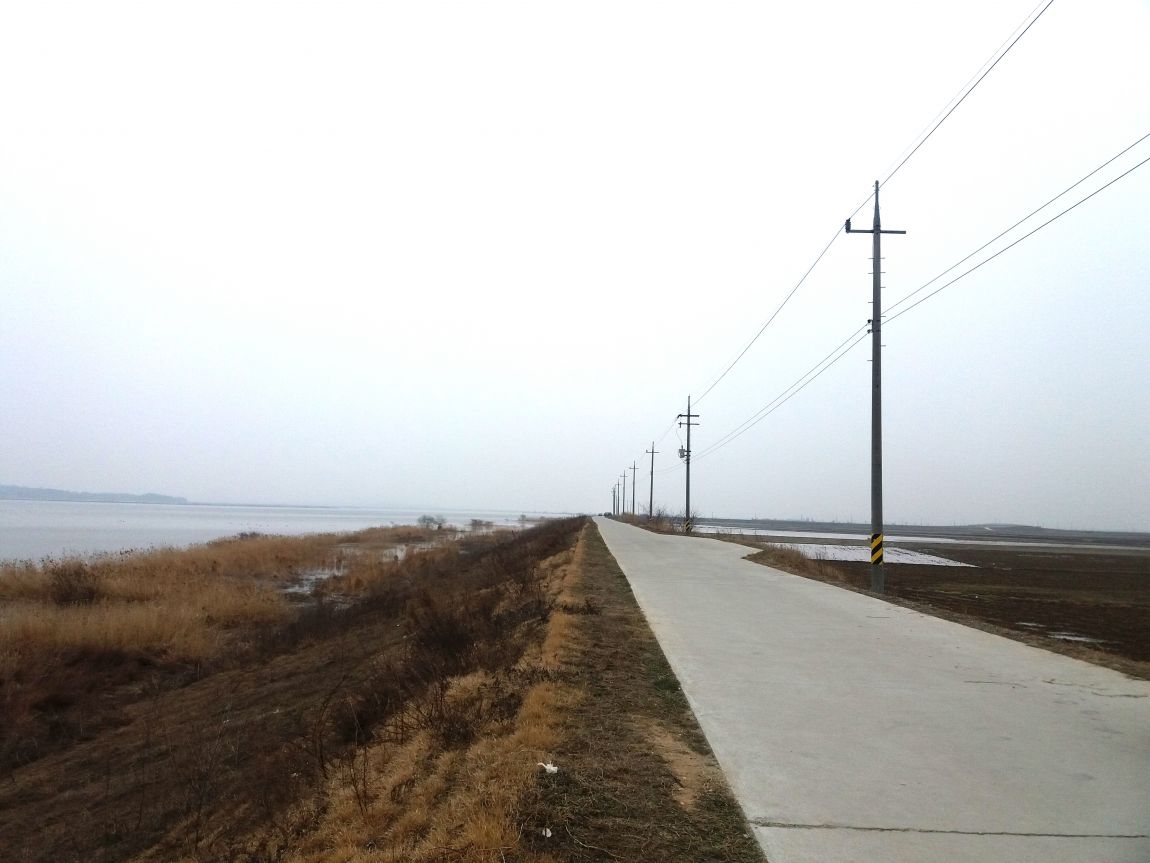 20160313_120448.jpg