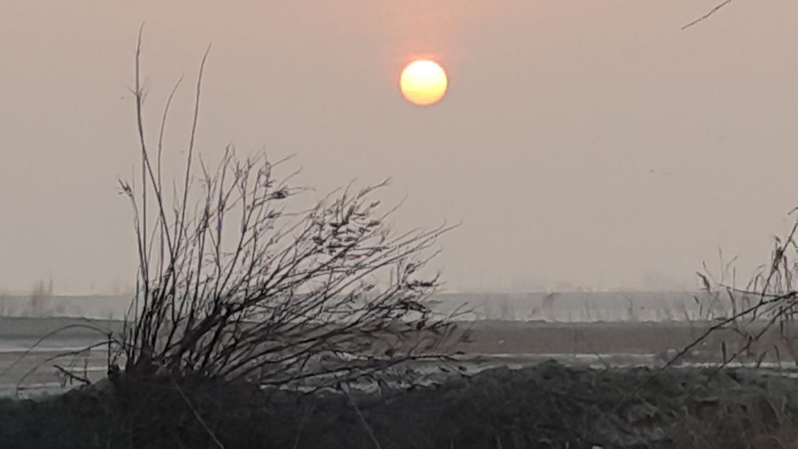 20160319_065419.jpg