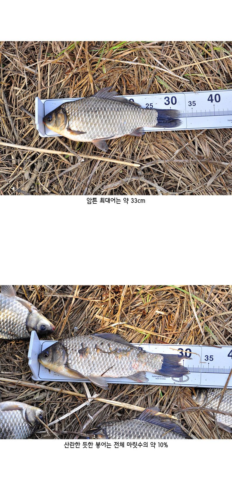 ���뼶 ����Ʈ - 14.jpg