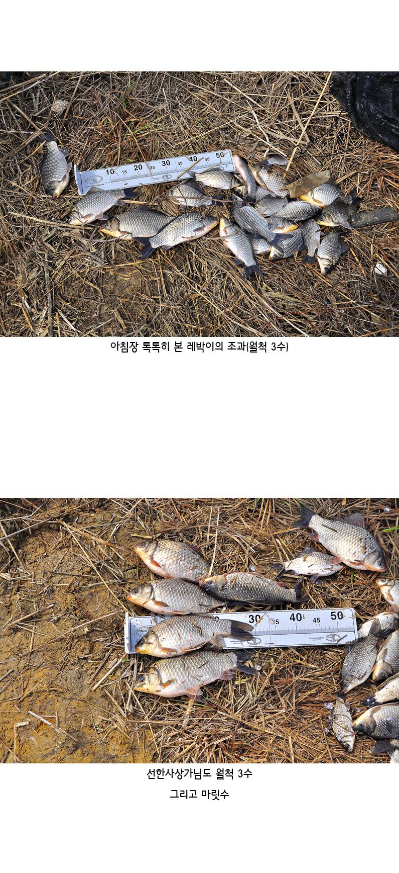 ���뼶 ����Ʈ - 15.jpg