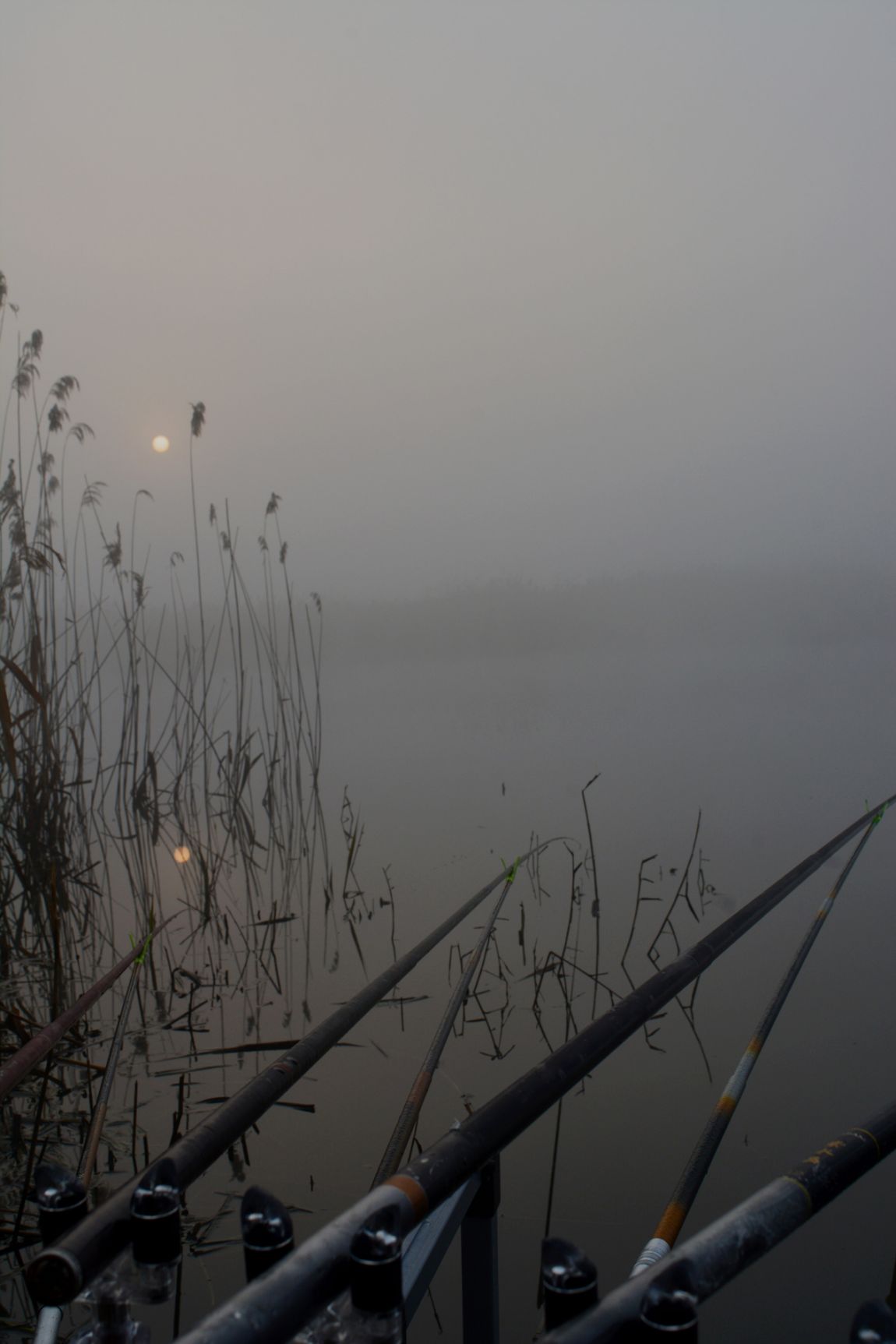 ���� 020.jpg