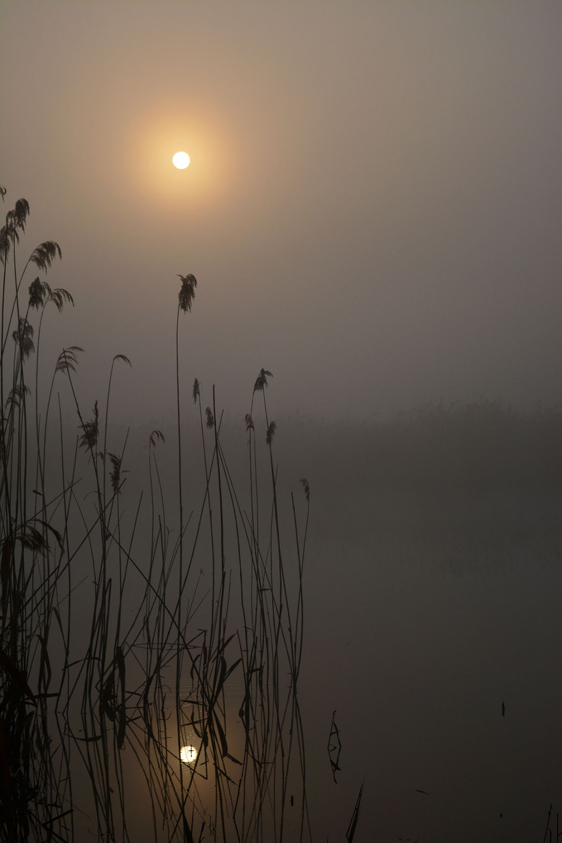 ���� 030.jpg