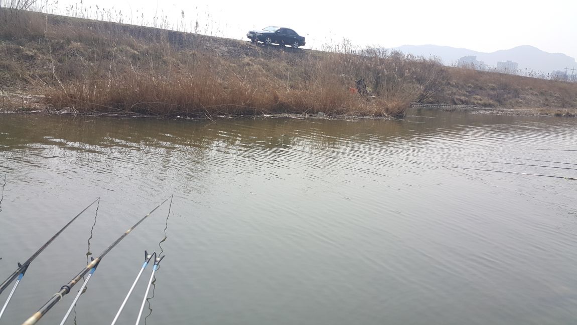 20160402_110127.jpg