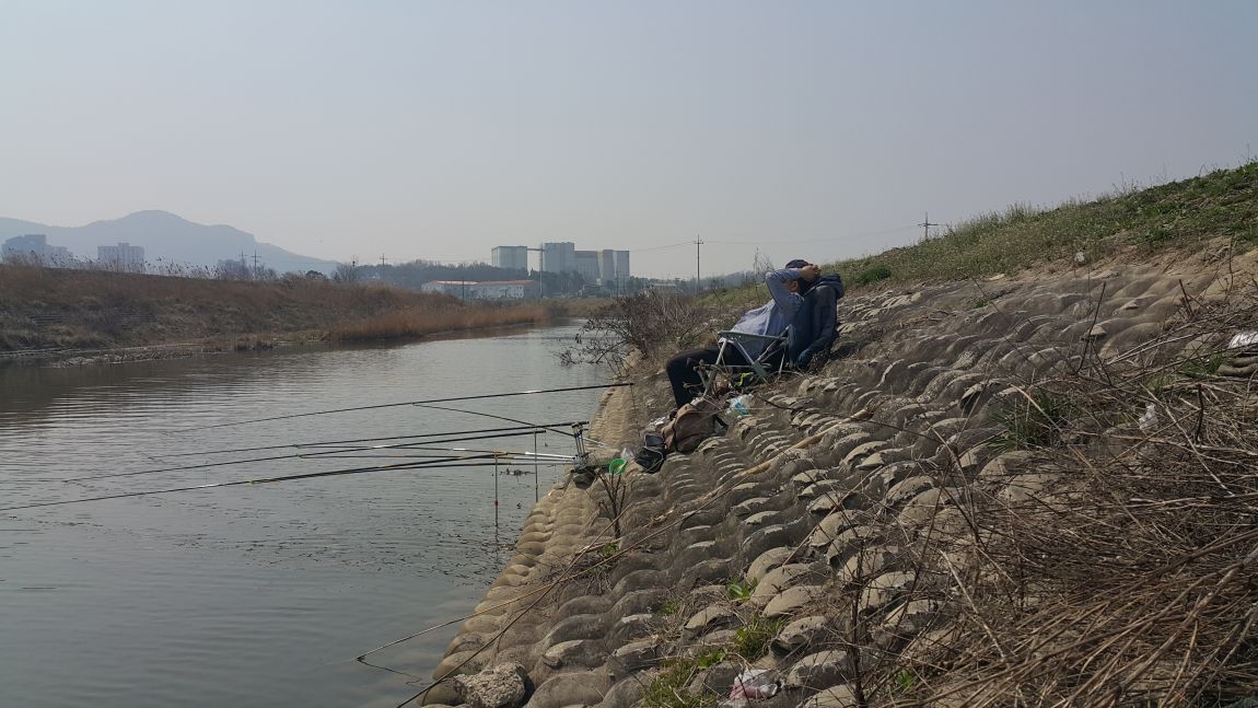 20160402_110132.jpg