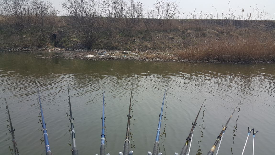 20160402_110157.jpg