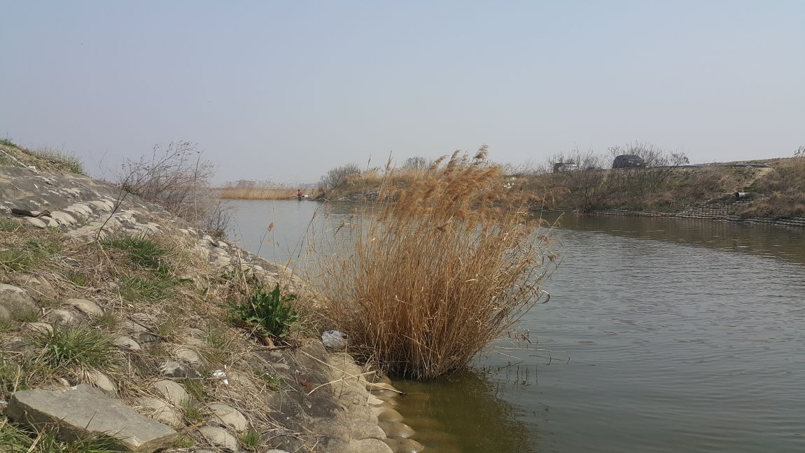 20160402_110214.jpg