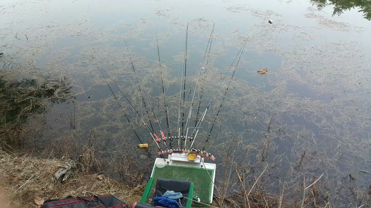 KakaoTalk_20160406_133329687.jpg