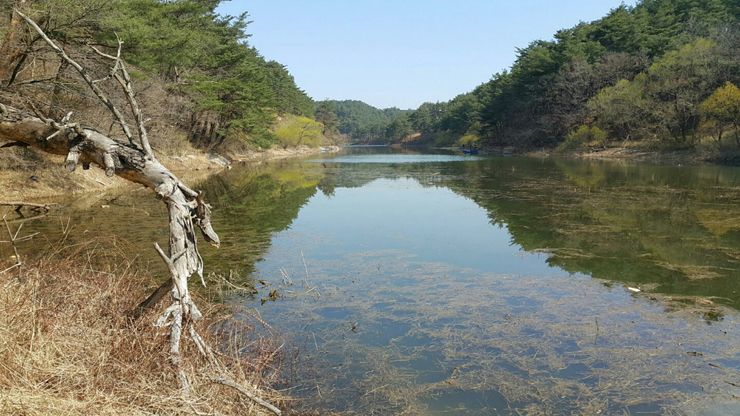 KakaoTalk_20160406_133328897.jpg