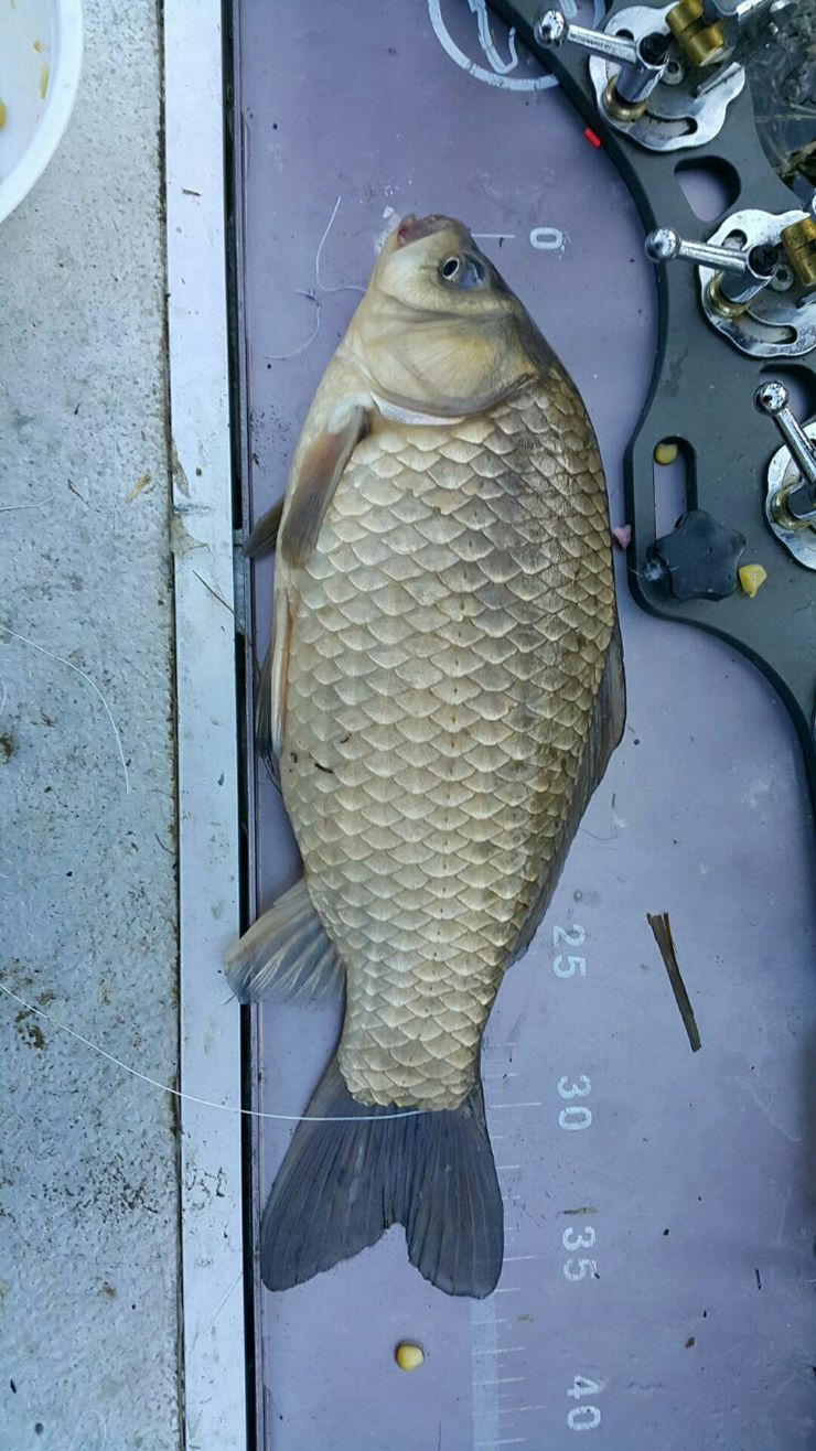 KakaoTalk_20160406_133318588.jpg