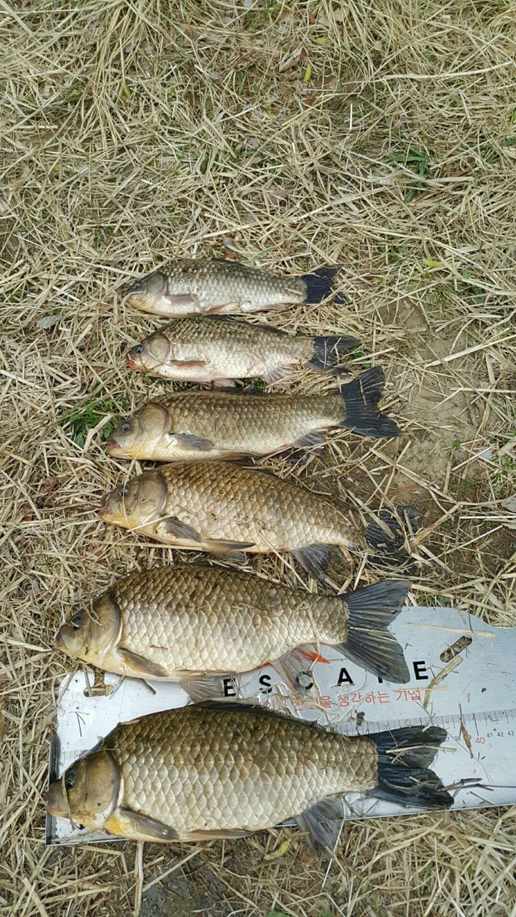KakaoTalk_20160406_133246238.jpg