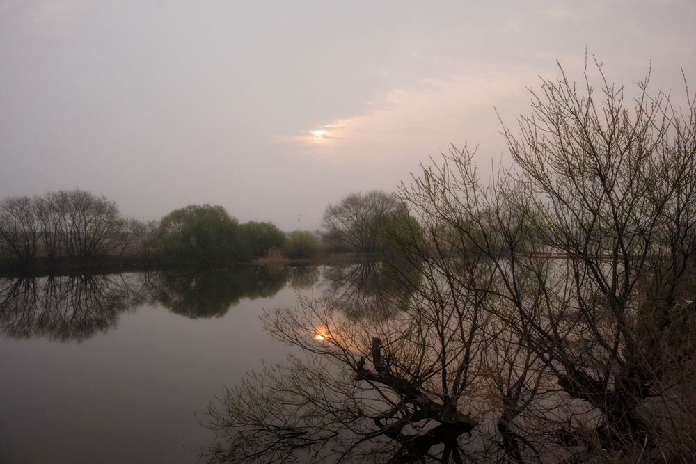 DSC09917.jpg