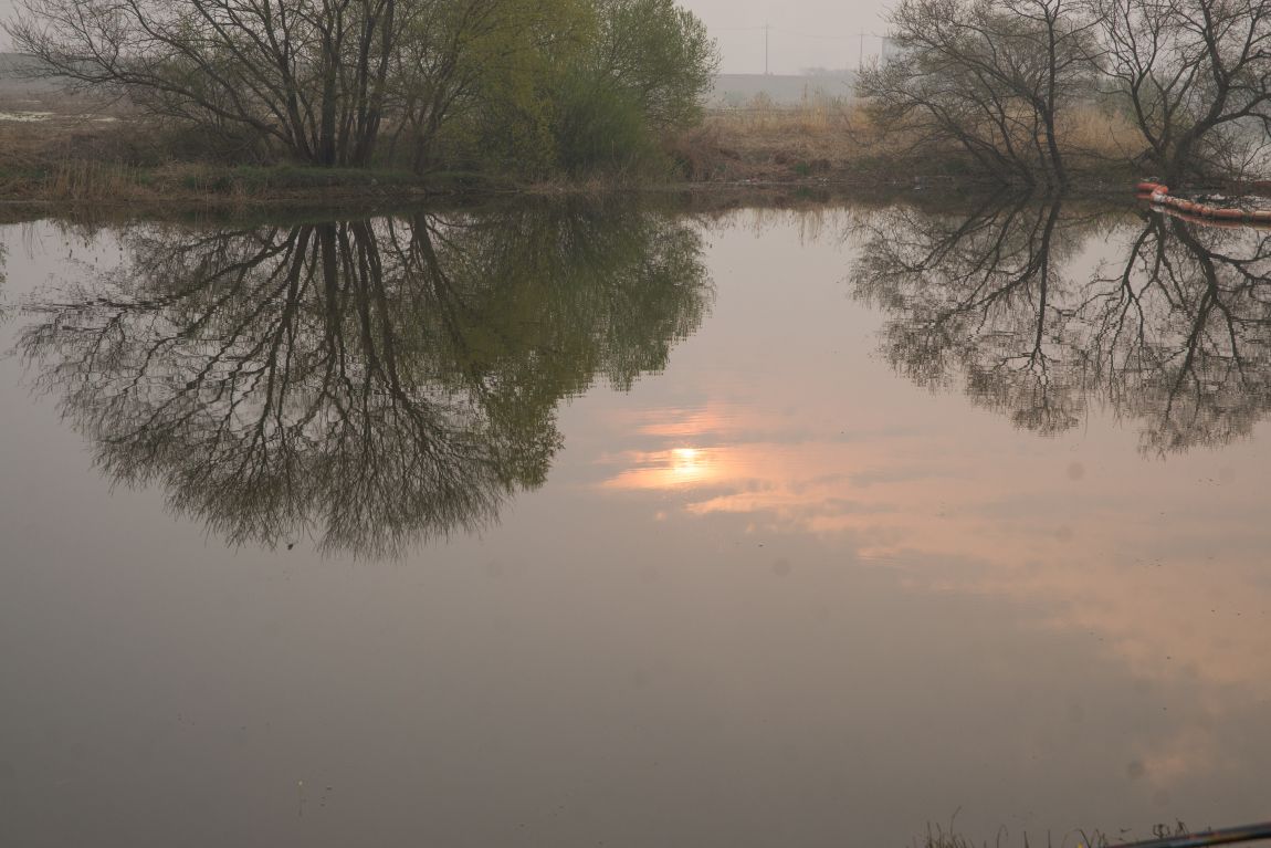 DSC09914.jpg