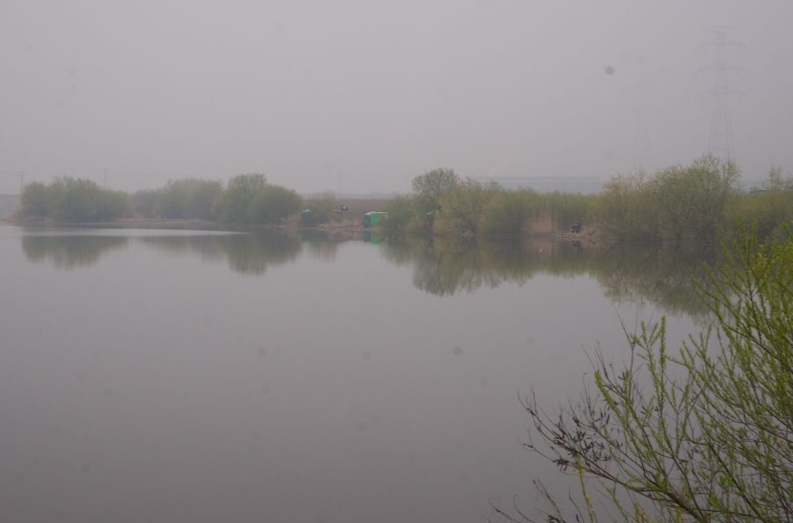 DSC09932.jpg