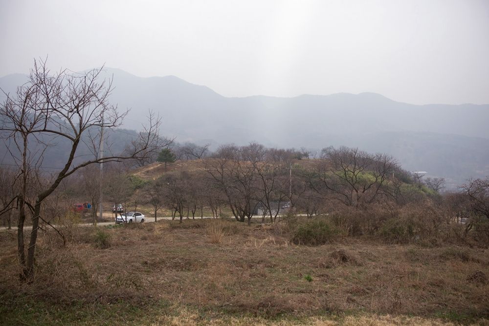 DSC00076.jpg